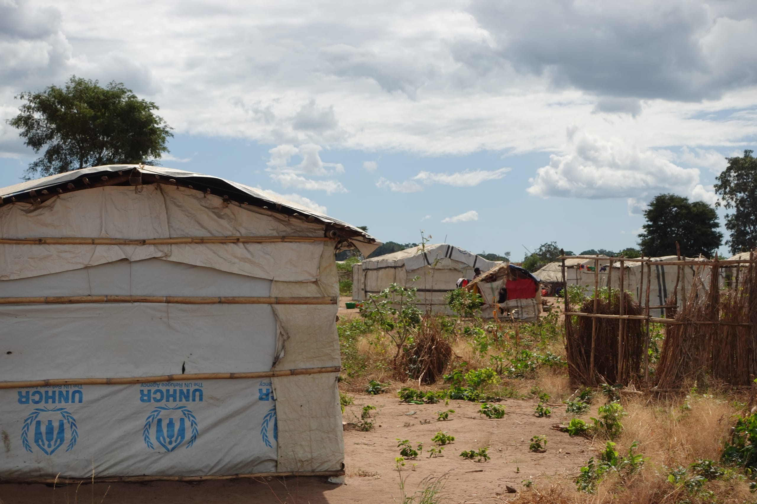 mueda mozambique sécurité alimentaire 2024